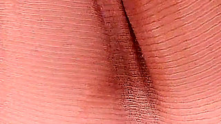 4503619