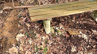Naked Vagina Spanking Near Hiking Way