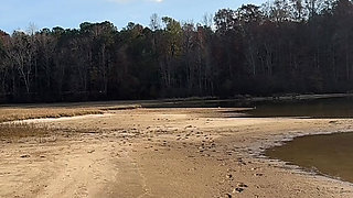 EBONY COUGAR ENJOYING THE SUN IN SWIMSUIT!