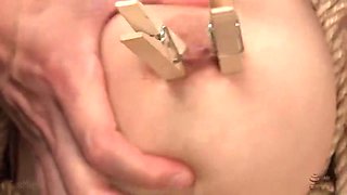 x4x92C4C06E6054784733