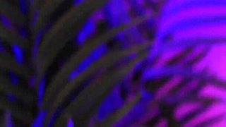 Nylon Orgasm - crossdresser, Tights Fetish, Kinky Amateur European Couple