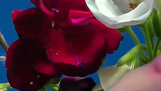 Hair Worship Natural Goddess Domination