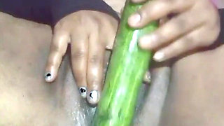 Today, Indian Bhabhi Quenched Her Desire by Inserting a Cucumber Into Her Pussy