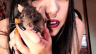Webcam brunette solo masturbation