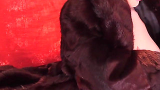 Lesbians in Fur Coats Have Rough Sex with Wet Hairy Pussy and Dildo, Anal Plug. Passion Fuck! Arya Grander and Kisica