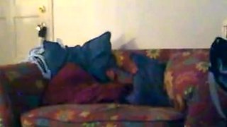 Big-Cock Guy on Webcam Gets Some