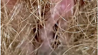 Compilation Of Pissing And Farting Video At Different Periods Of A Shameless Hairy