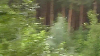 Teen Shows Tits and Asshole During a Storm in the Forest
