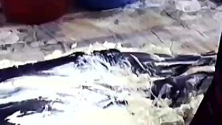 Amateur brunette lesbian porn stars on webcam