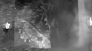 So Many Horny Couples in the Outdoors Make a Wild Group Sex