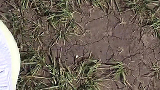 Fucked My Best Friend's Girlfriend in the Woods