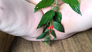 Labia with Nettles... - Wide Spread Legs