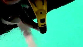 Naked Snorkel Night Slut Underwater Play