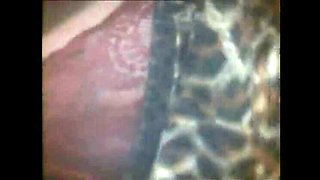 Moana Pozzi Blowjob with Rocco Siffredi - Full HD Vintage Movie Cumshot