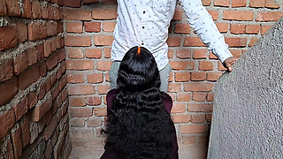 Desi Indian Sex