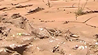 Julie’s Epic Mud Slut Saga - 5:29 Dress-to-lingerie Hogtied Ass Annihilation & Cum