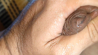 Curvilinear Pulsation of the Robust Cummed Limb