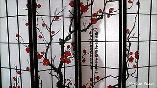 Silhouette Tease / Ball Domination