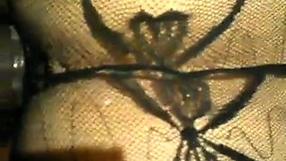 American Black Bull Conquers Chinese Businesswoman