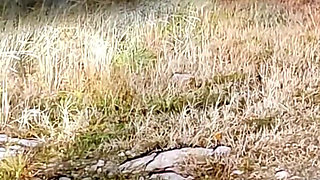 Being a Human Toilet for a Whole Day