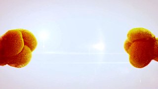 Andis-SOLO PISSY(4K) - Toys