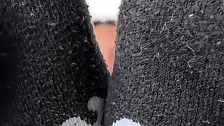 Edge for My Sweaty Gym Socks and Stinky Feet Goddess Alexa Sock Fetish Foot Fetish Foot Domination Femdom POV