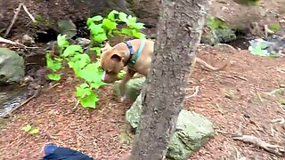 Blonde MILF Blowjob and Cumshot in Outdoor Woods