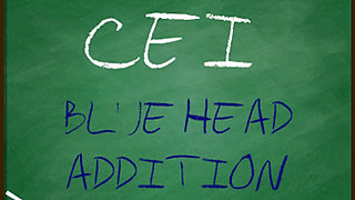 CEI Blue Head Addition Cum Eating for Gays