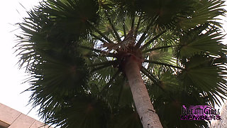 Brooklyn Gets Naked in the Middle of Downtown Tampa