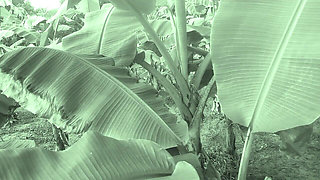 Big Ass Indian Couple Village Sex