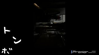 jkdfhjdfgjkfdkgfdkgjklgkklfdgfdkgfd-bijo