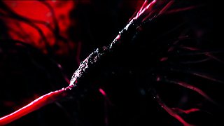 Parasited - The Chefs Korean Case
