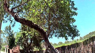 Blonde Babes Wild DP Beach Fuck Fest