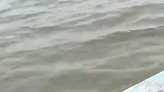 A Journey Through the Sea