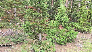 Slutty Hotwife Polyjswitch Finds Some Big Wood in the Forest