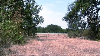 Slave Walks Around In A Chastity Belt And Double Penetrates The Highway