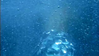 Eileen Dorf, Mick Blue And Titus Steel In Midnight Wild Encounter (full Movie)