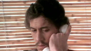 Classic Porn Dvds: the Jade Pussycat: Part 2