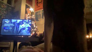 Romanian amateur webcam teen masturbate