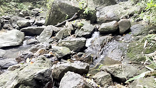 Topless Monika Fox Quickie Blowjob and Cum in Mouth in the Jungle