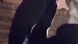 Extremely Risky Bar Blowjob and Downtown Sucking and Flashing