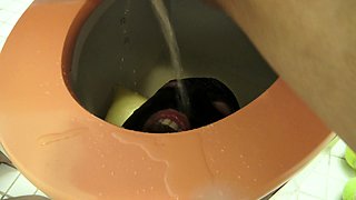 toilet slave training