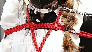 The Maid's Standing Restraints Merged with the Metal Bracket