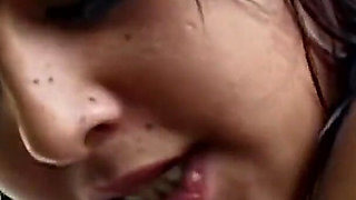 Lemon Splash - Squeeze It All Over Me