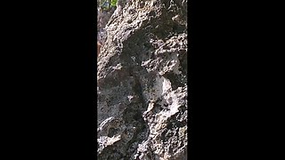 Husband shares anal addicted wife with black stud outdoors