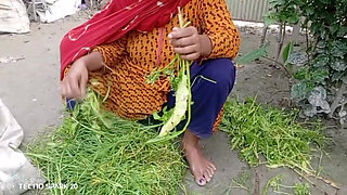 Secret Affair with My Sister-in-Law in the Backyard