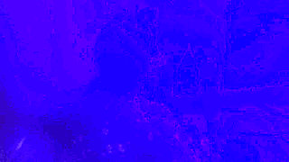 Indian Couple Fucking in Night