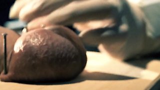 First Time Ball Nailing and Needles Through Gland