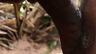 Just Another Farm Day with a Good Dick