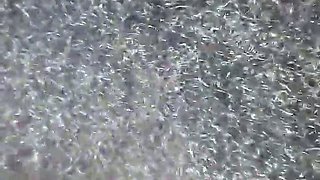 CIMA black and ebony